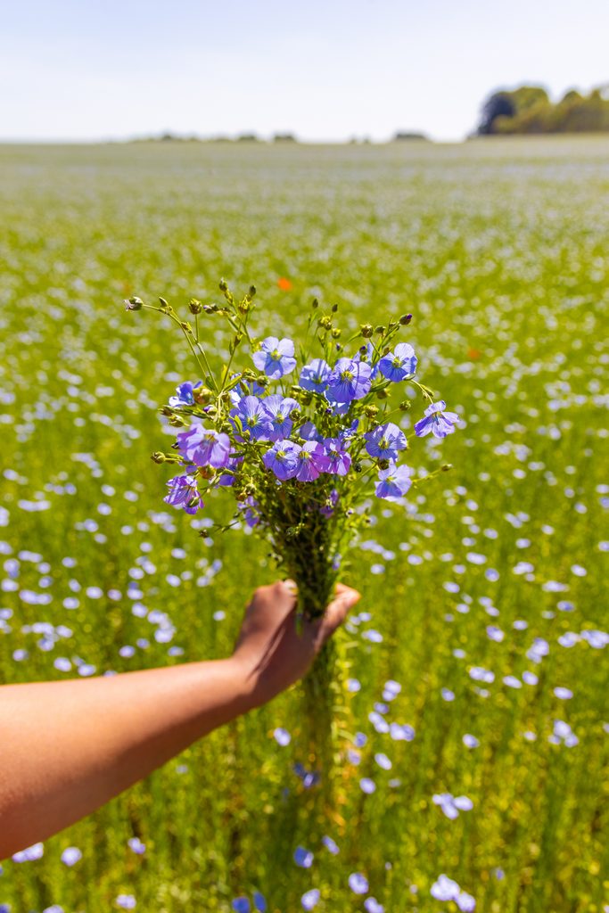 bouquet de lin